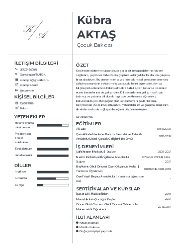 Çocuk Bakıcısı CV Örnekleri cv indir
